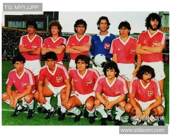 弗拉霍维奇的崛起与未来展望：如何在足球世界中书写传奇